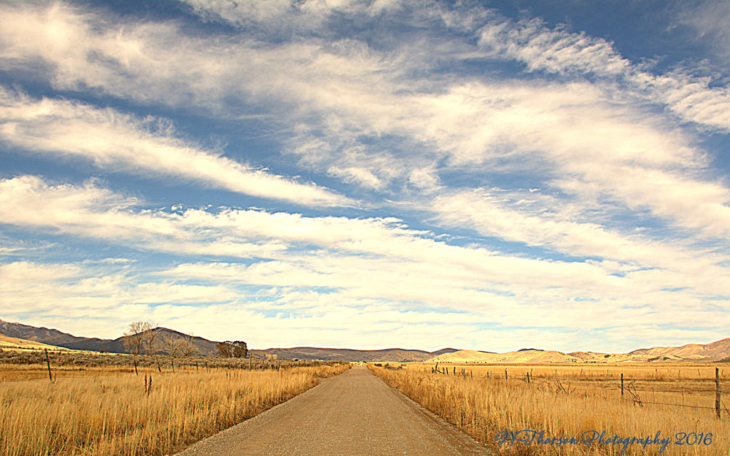 Cedar Valley #7 11-26-2016.jpg