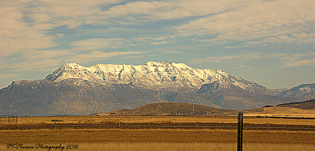 Cedar Valley #8 11-26-2016.jpg