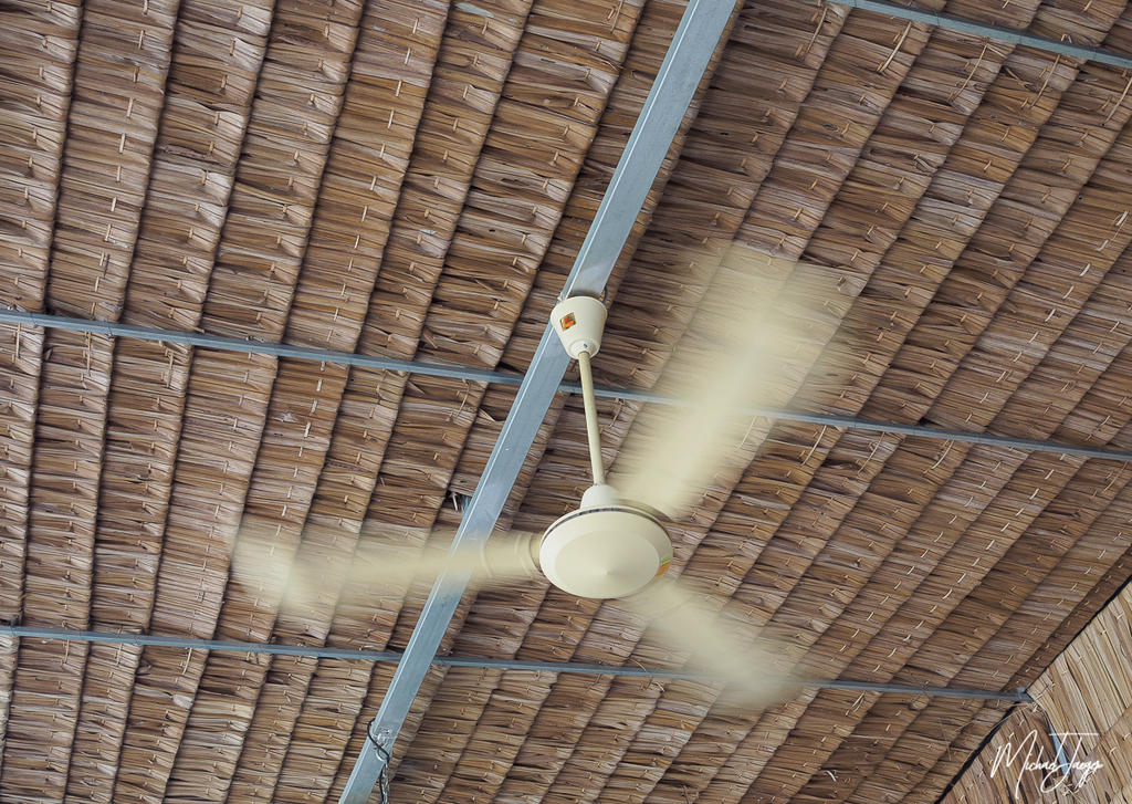 ceiling-fan-1.jpg