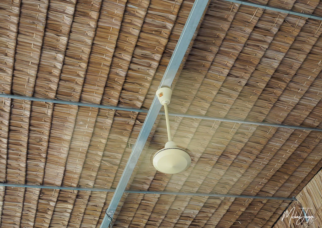 ceiling-fan-2.jpg