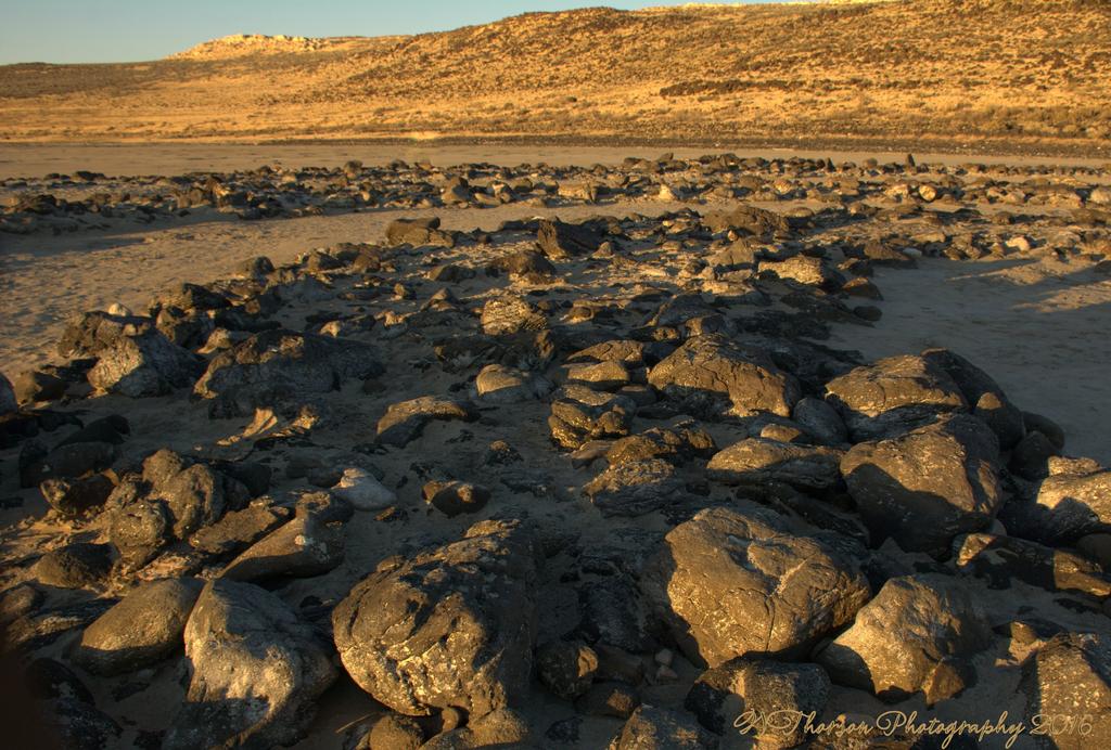 Center of Spiral Jetty 11-5-2016.jpg