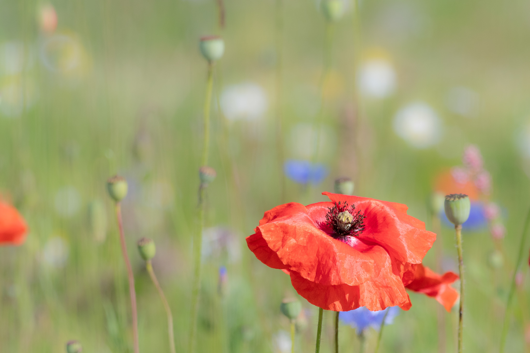 changing-season-jpg.396091