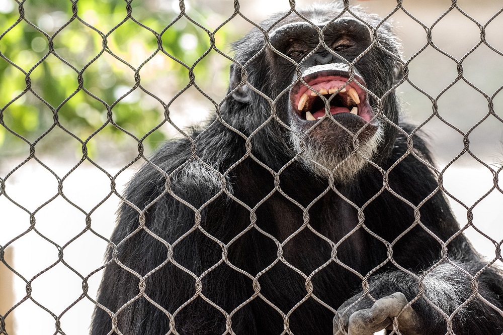 Chattanooga Zoo--11.jpg