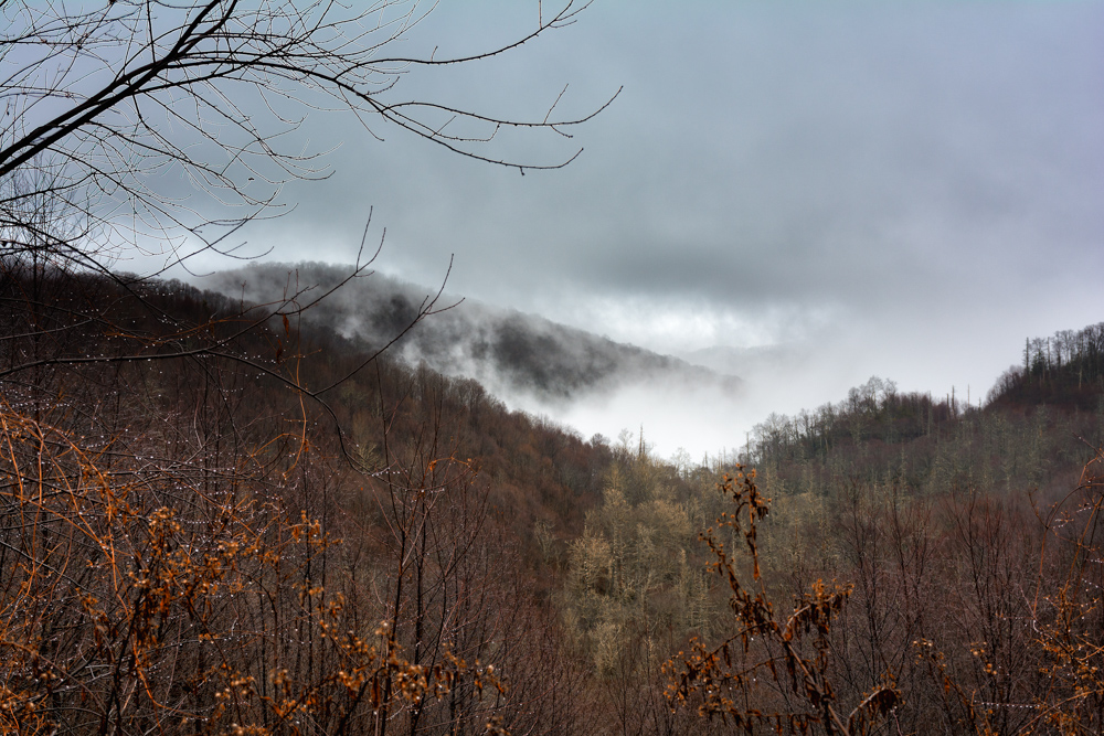 Cherohala Skyway--10.jpg