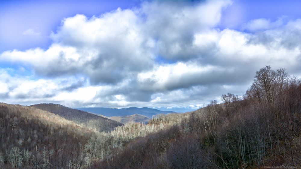 Cherohalla--2.jpg