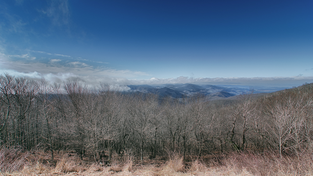 Cherohalla-.jpg