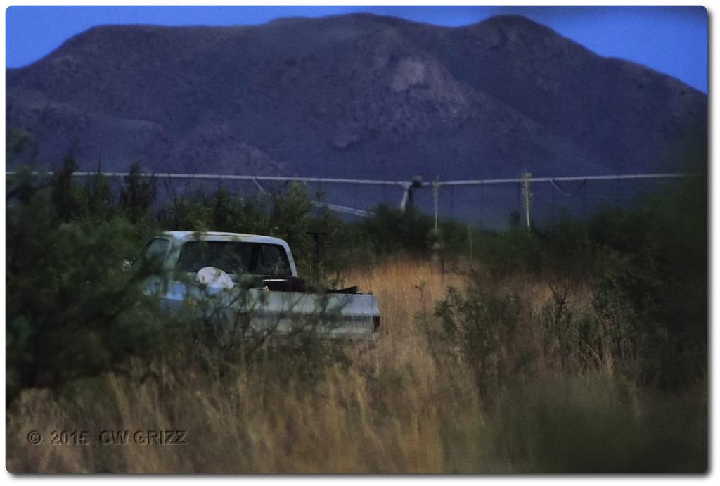 chevy-bush-cr.jpg