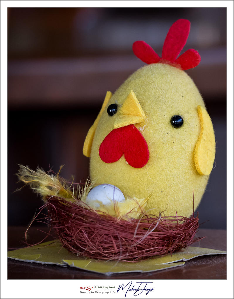 chick-1.jpg