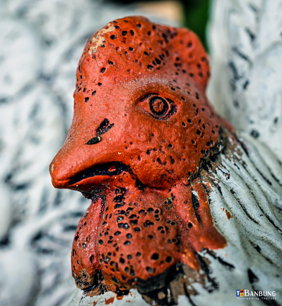 chicken-f-1.jpg