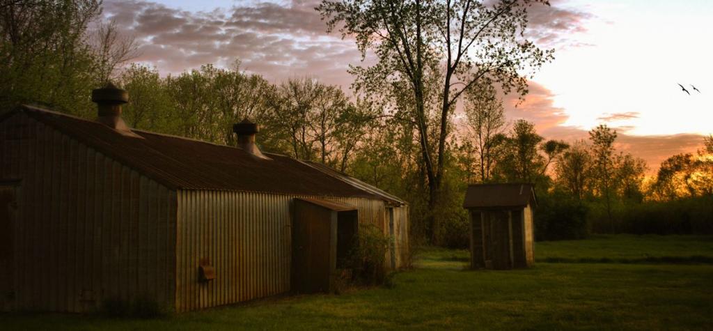 chicken house front1200.jpg