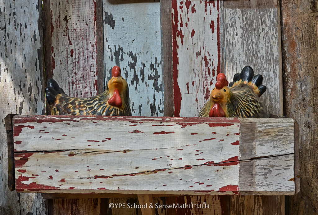 chicks-1.jpg