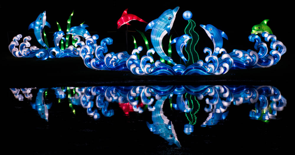 Chinese Lanterns 2017 1-2.jpg