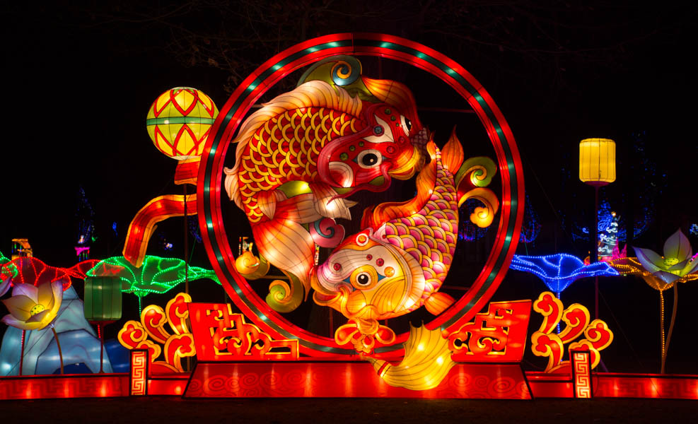 Chinese Lanterns 2017 1-8.jpg