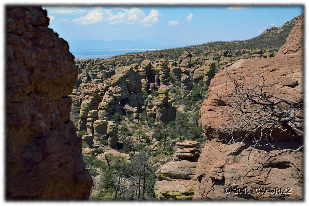 chiri-landscape-2-cr.jpg