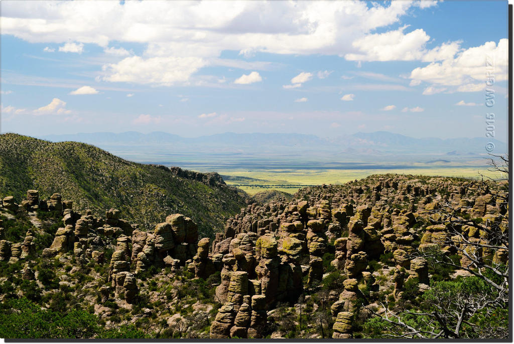 chiri-mon-rock-cr.jpg