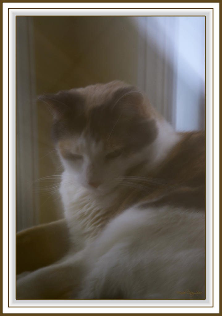 Chouch long exposure.jpg
