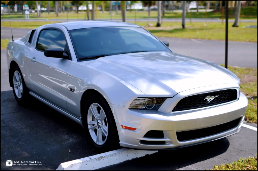 Christine 2_020.JPG