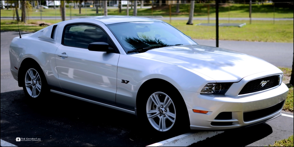 Christine 3_021.JPG