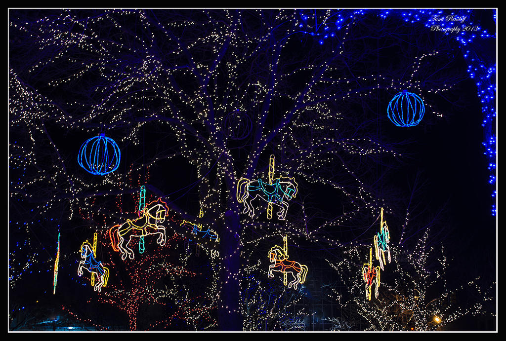 Christmas Horses Pic Site.jpg