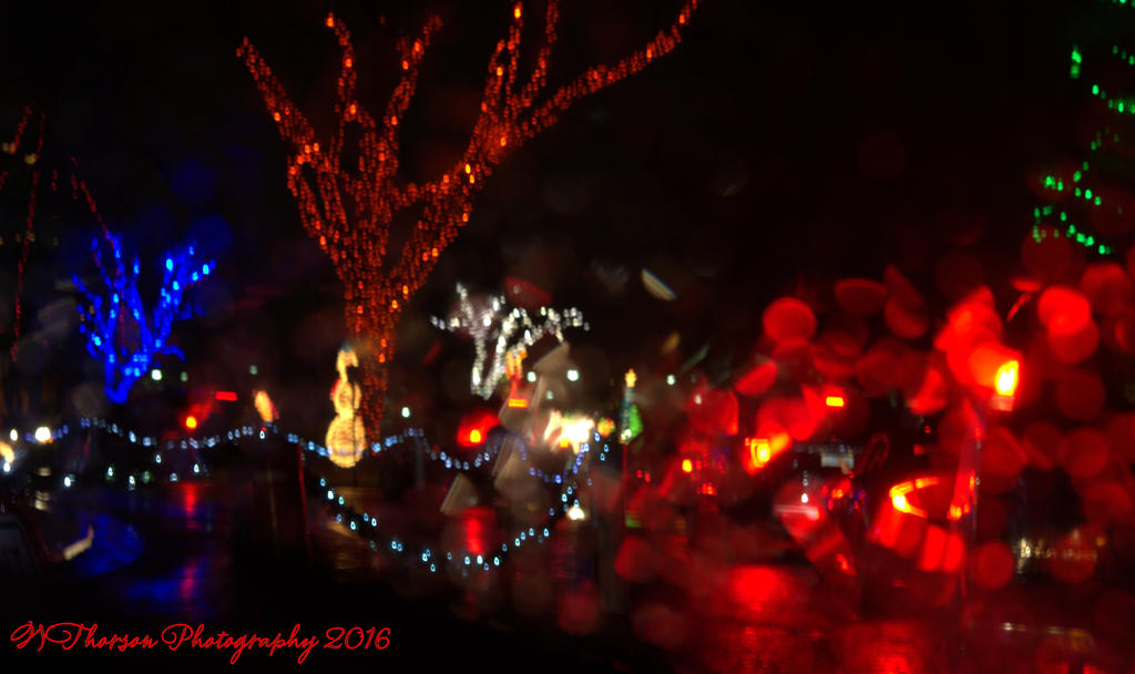 Christmas Lights in the Rain #4 12-10-2016.jpg