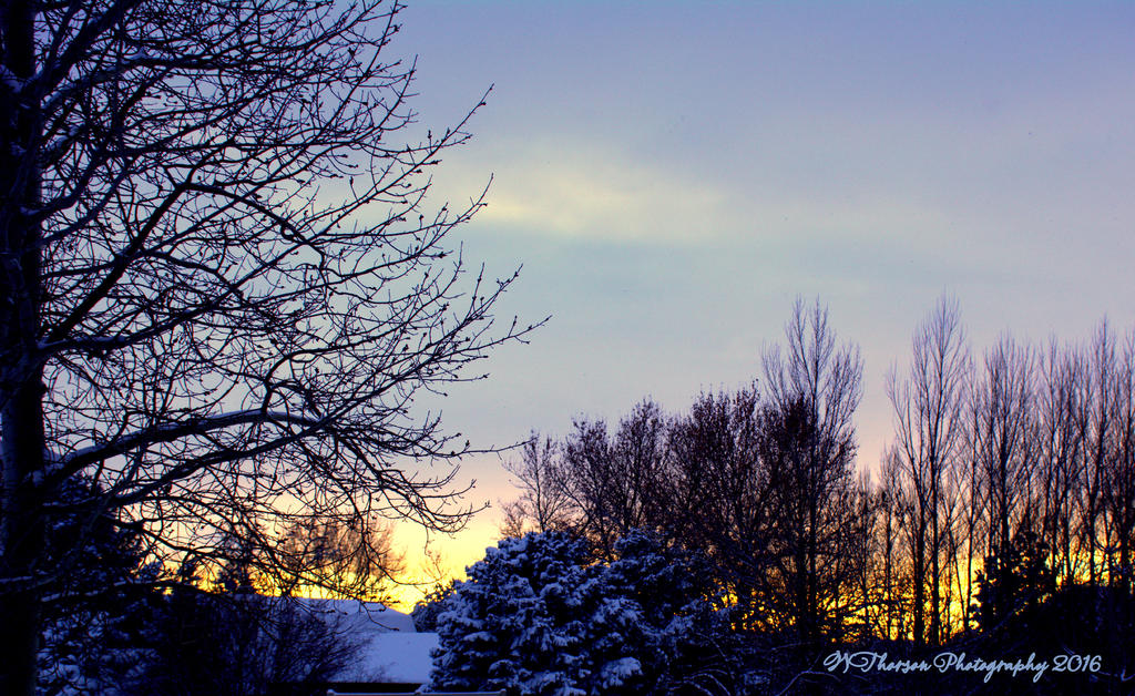 Christmas Scene 12-25-2016.jpg