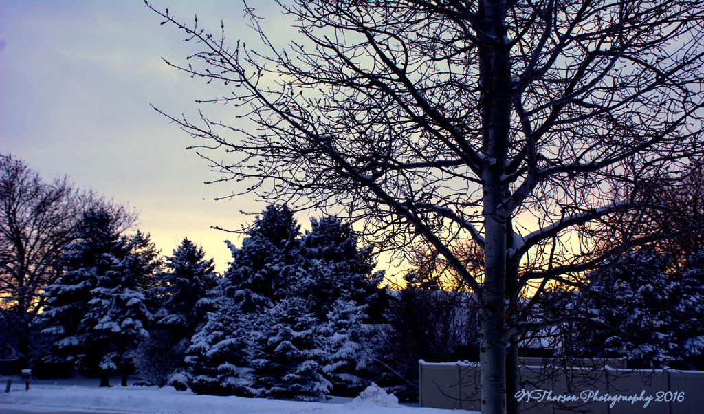 Christmas Scene #2 12-25-2016.jpg