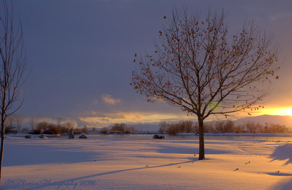 Christmas Sunset #0 12-25-2016.jpg