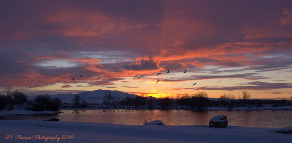 Christmas Sunset #6 12-25-2016.jpg