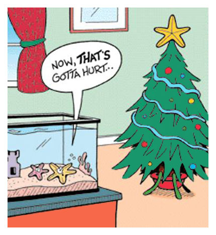 christmas-tree-fish-982742.jpeg