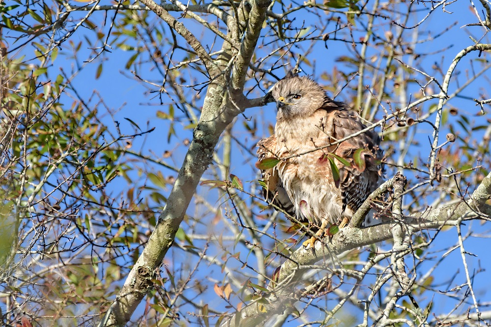 Circle B Bar Reserve--22.jpg