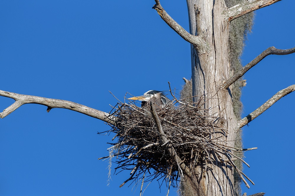 Circle B Bar Reserve--53.jpg