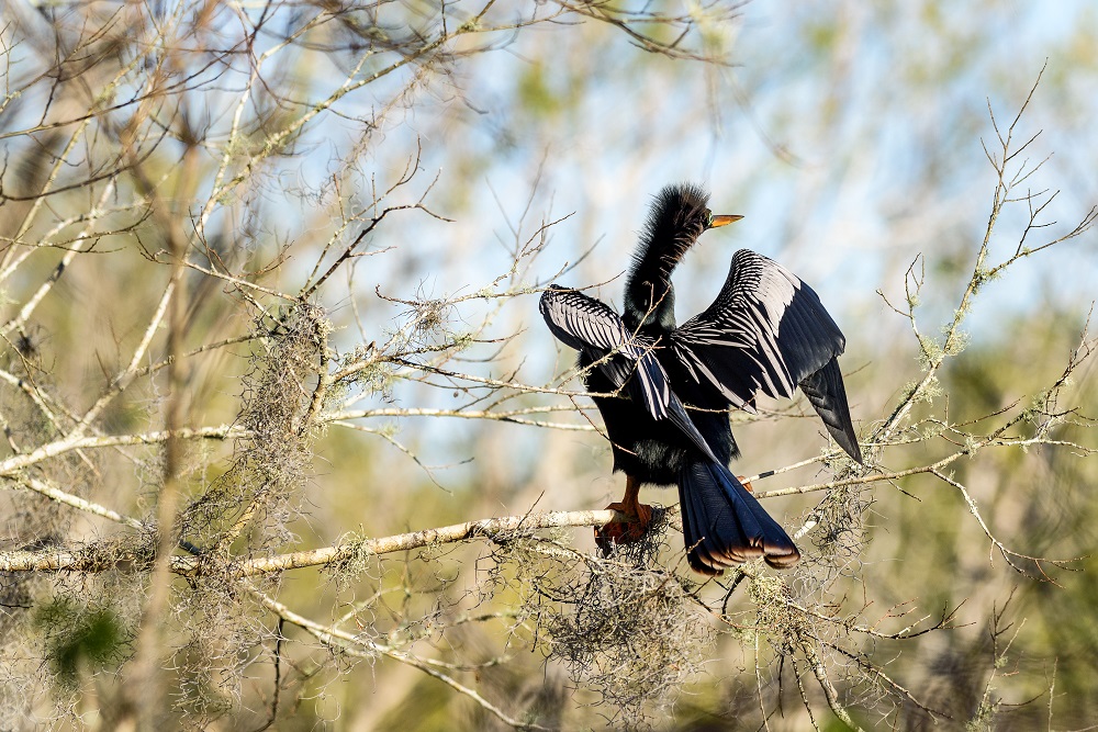 Circle B Bar Reserve-.jpg