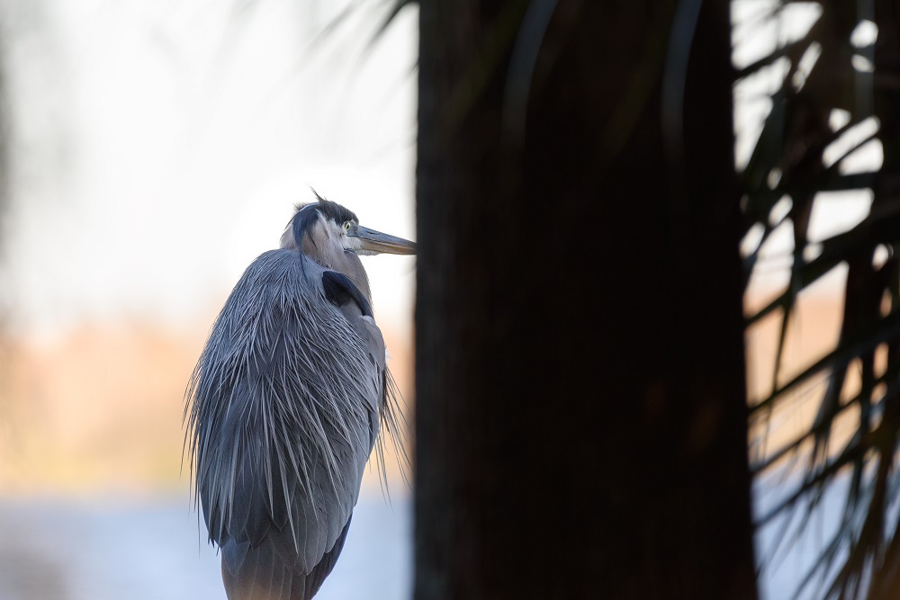 Circle B Bar Reserve-.jpg