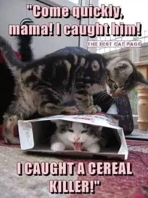 ck.jpg