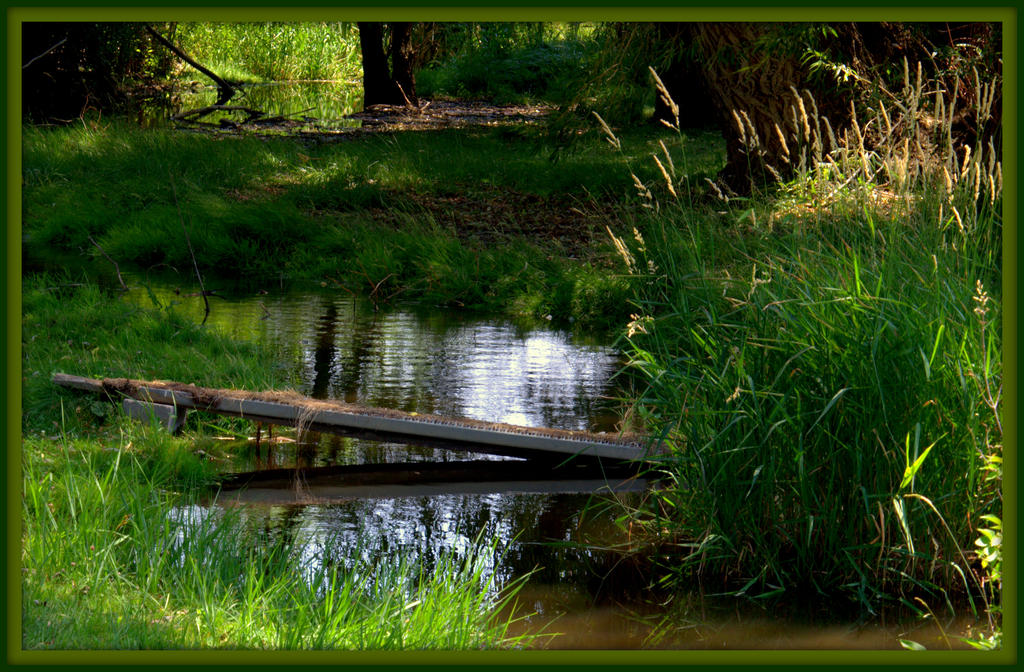 CL Mantua Creek.jpg
