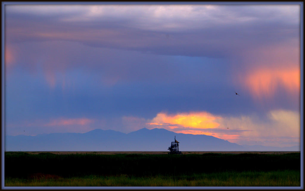 CL Pink Sunset.jpg