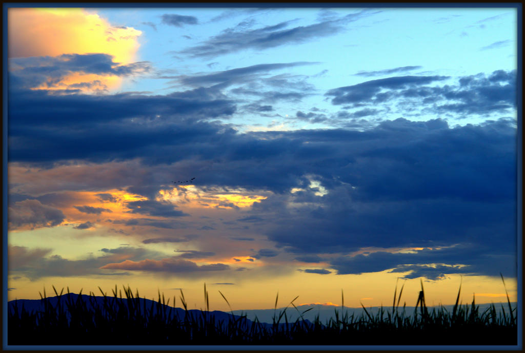 CL Sunset at the Bird Refuge with BIF.jpg