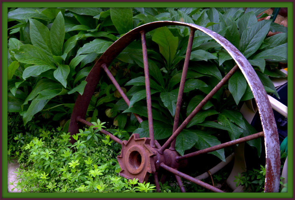 CL Wagon Wheel.jpg