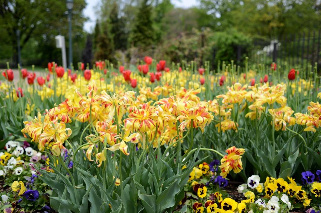 CLE Botanical Gardens 3b.jpg
