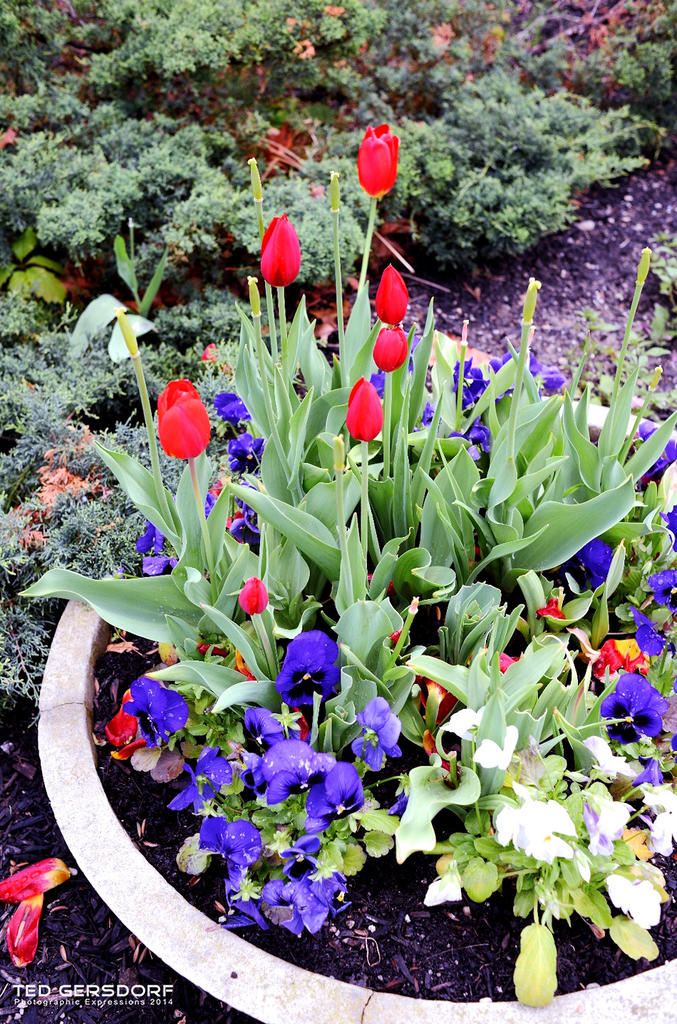 CLE Botanical Gardens 7.jpg