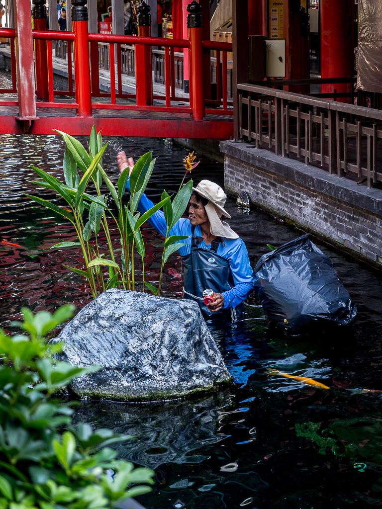 cleaning-and-feeding-jpark-4.jpg