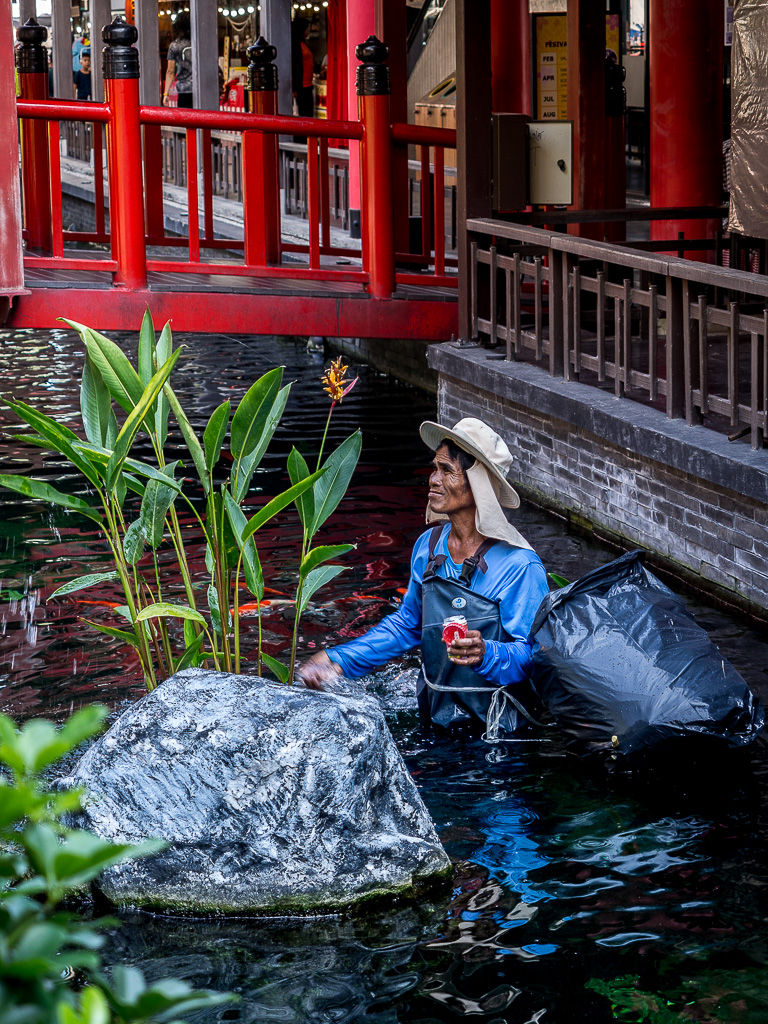 cleaning-and-feeding-jpark-5.jpg