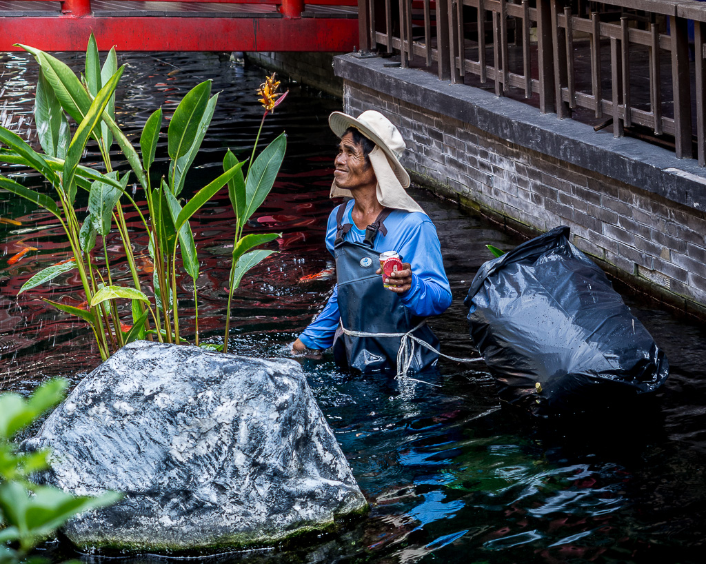 cleaning-and-feeding-jpark-6.jpg