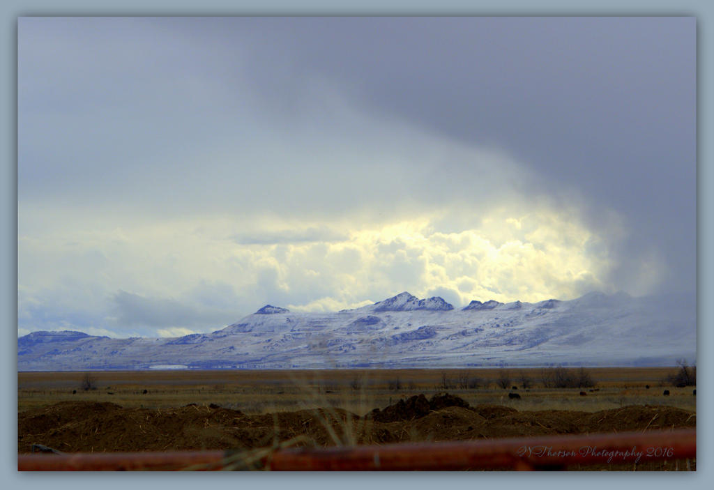 Close Up of Clouds Over the Island 3-22-2016.jpg