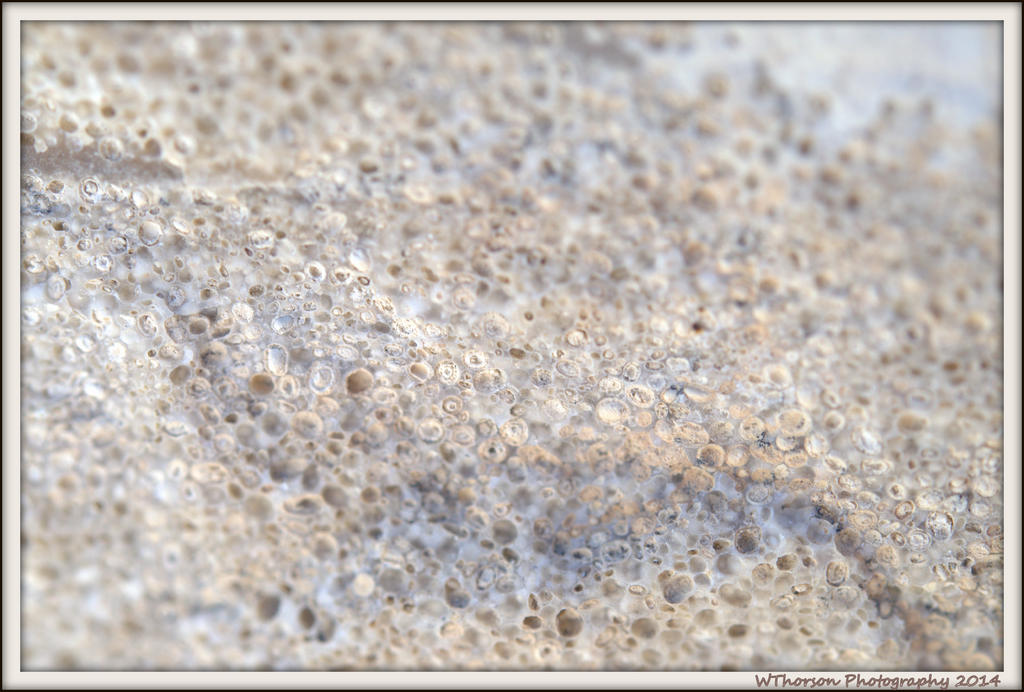 Close Up of Oolidic Stone.jpg