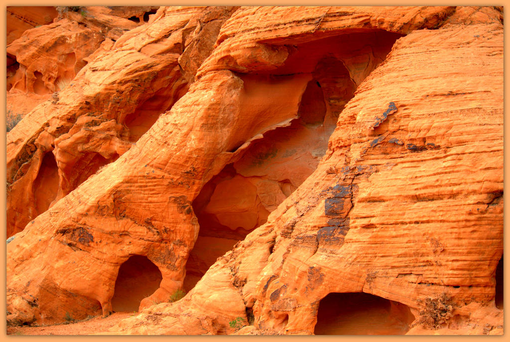 Close up of Valley of Fire Arrowhead Hike.jpg