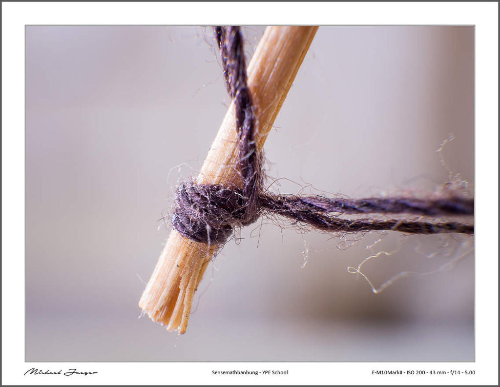close-ups3-3.jpg