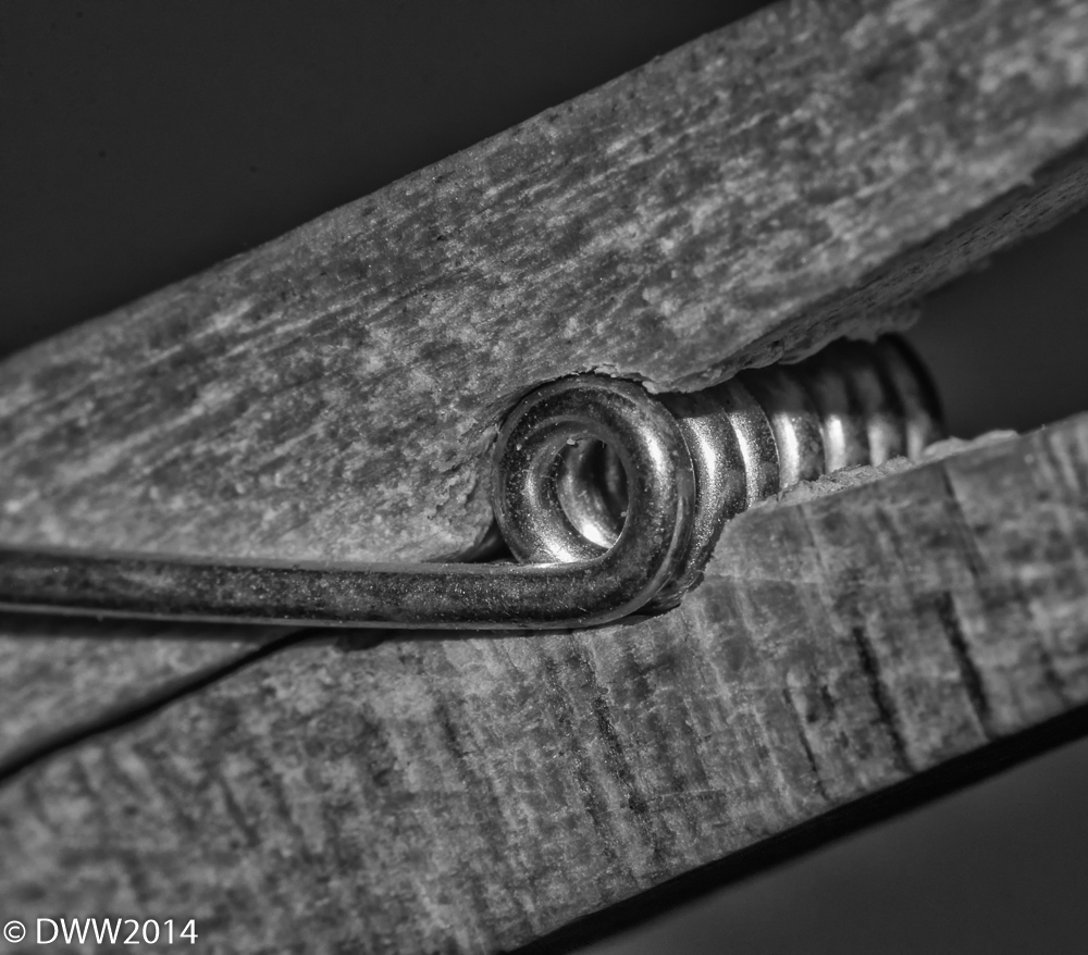 Clothes pin (1 of 1).jpg