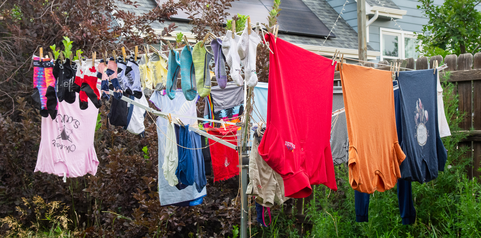 ClothesLine-233.jpg