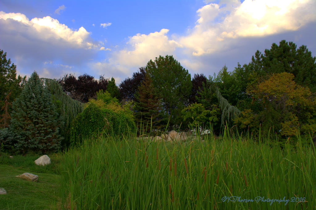 Clouds #1 8-9-2016.jpg